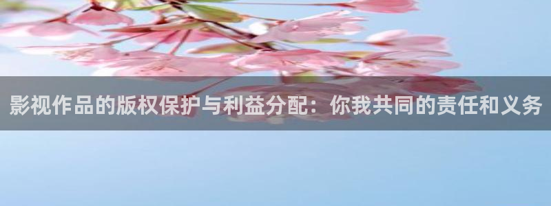 木瓜木瓜：影視作品的版權保護與利益分配：你我共同的責任和義務