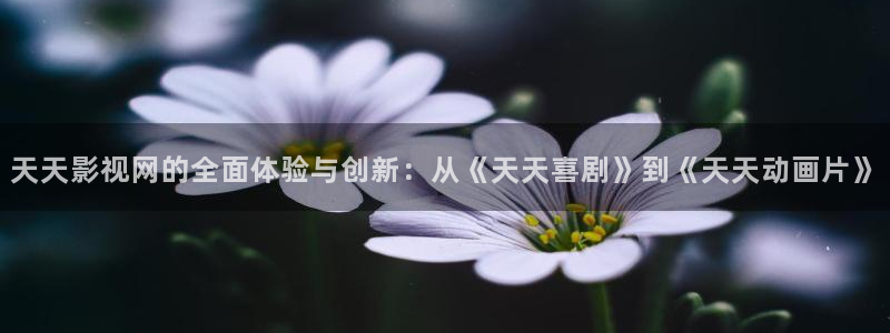 木瓜影院在線播放：天天影視網(wǎng)的全面體驗與創(chuàng)新：從《天天喜劇》到《天天動畫片》