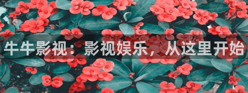 木瓜影視大全免費(fèi)追劇：牛牛影視：影視娛樂，從這里開始